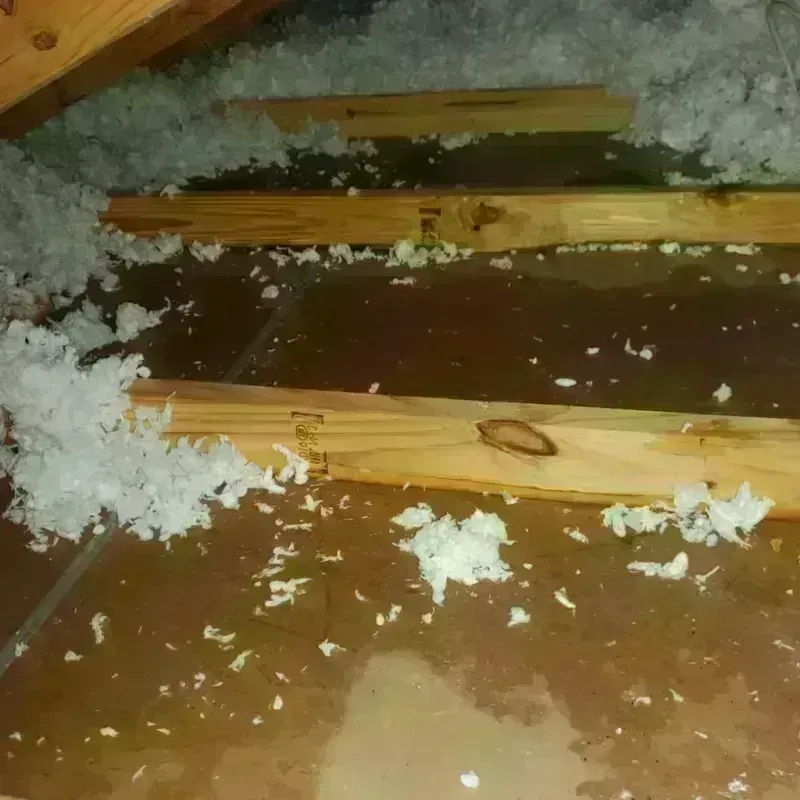 Attic Water Damage in Dennison, OH