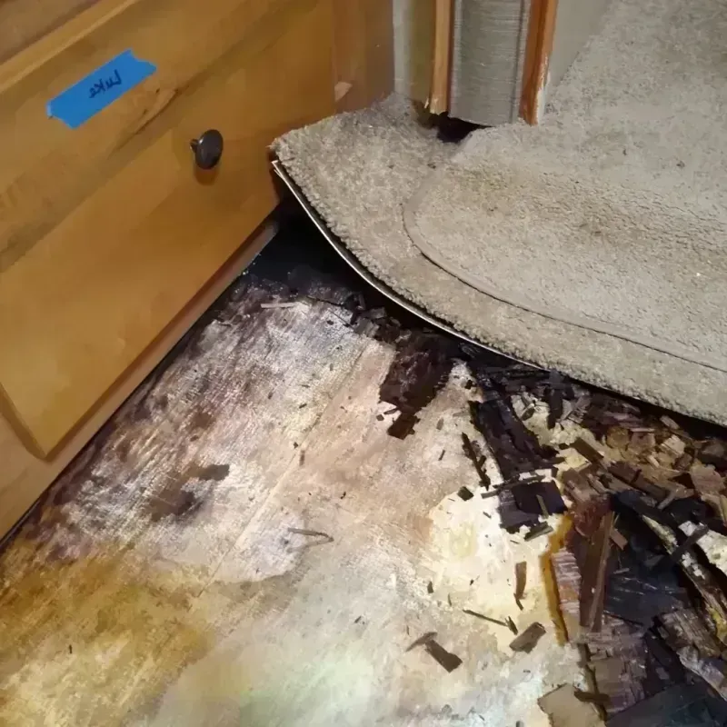 Best Wood Floor Water Damage Service in Dennison, OH